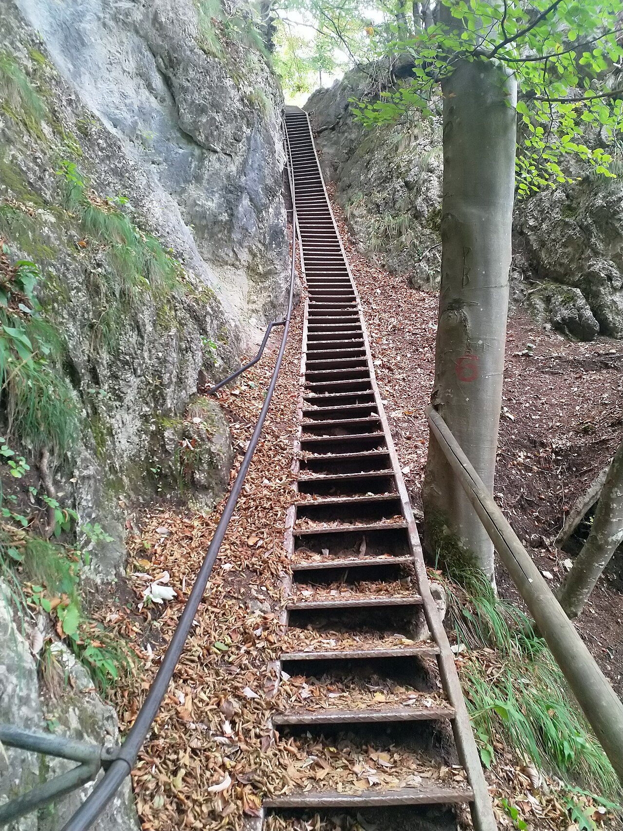 Stairs on the Mala Osojnica trail above Lake Bled