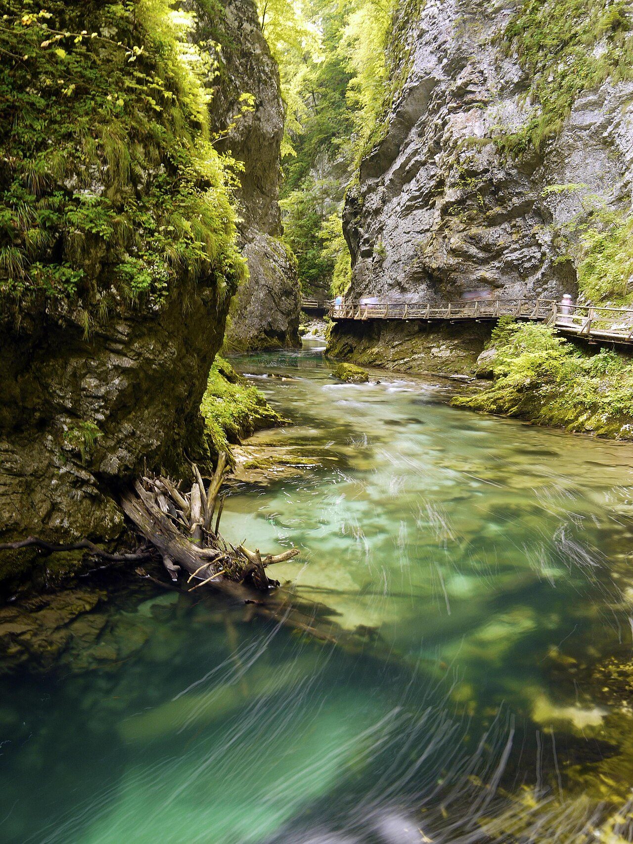 The wooden boardwalk through Vintgar Gorge
