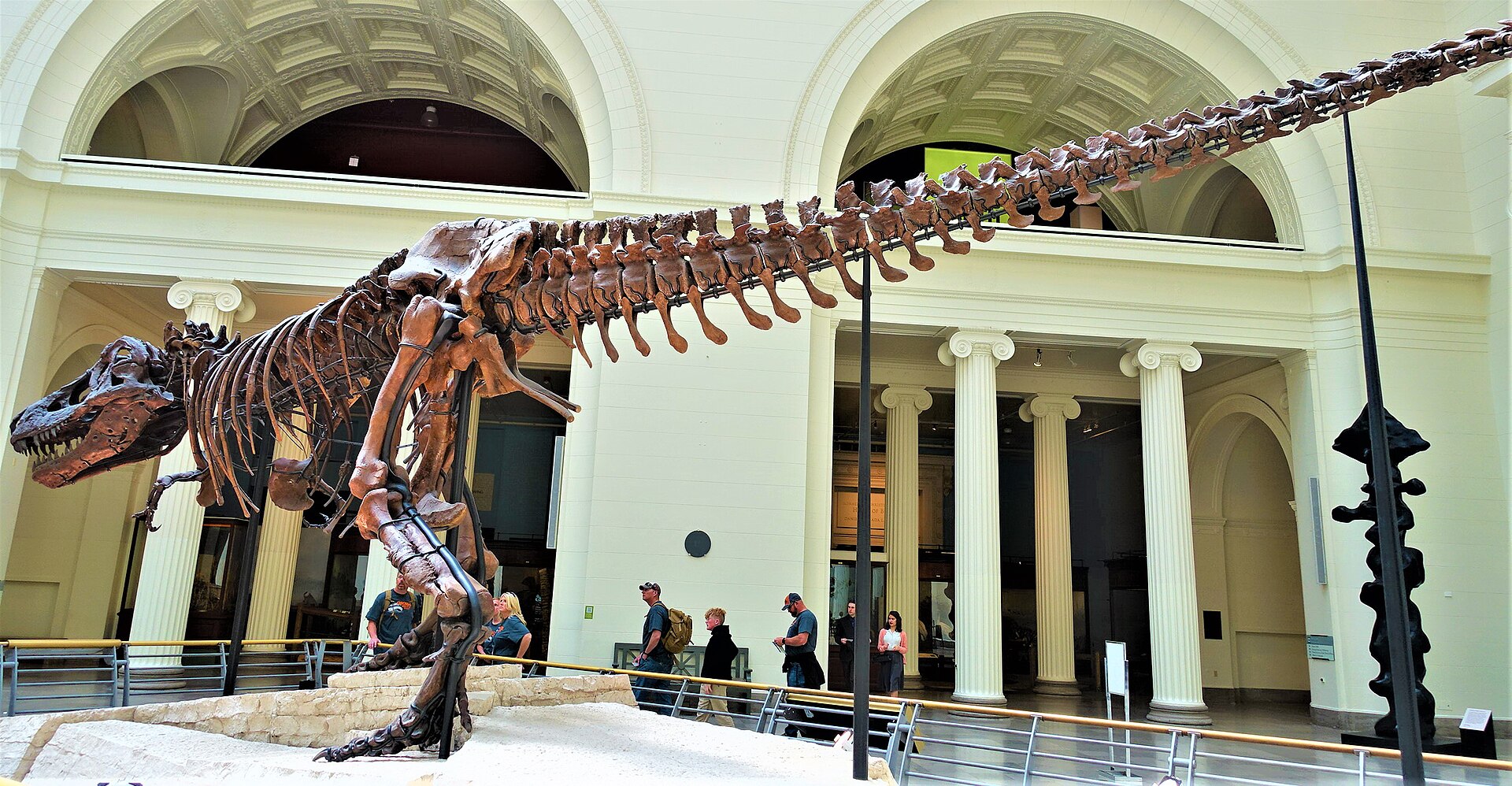 The Field Museum