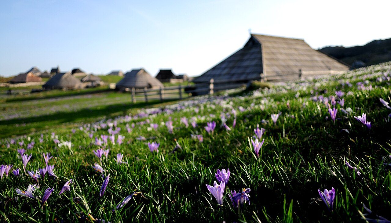 Traditional shepherd huts on Velika Planina
